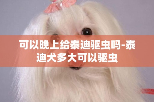 可以晚上給泰迪驅蟲嗎-泰迪犬多大可以驅蟲