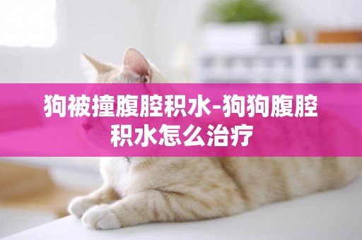 狗被撞腹腔積水-狗狗腹腔積水怎么治療