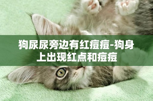 狗尿尿旁邊有紅痘痘-狗身上出現紅點和痘痘