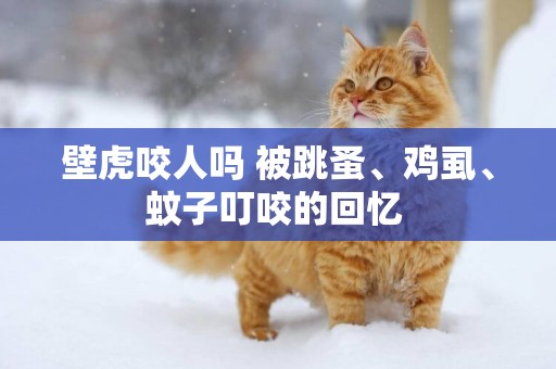 壁虎咬人嗎 被跳蚤、雞虱、蚊子叮咬的回憶 