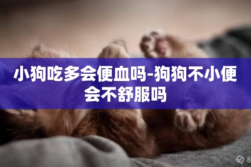 小狗吃多會便血嗎-狗狗不小便會不舒服嗎