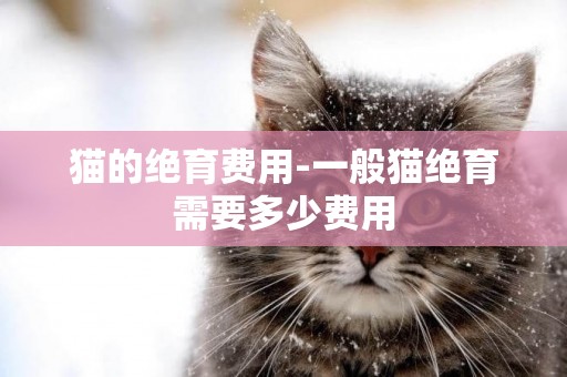 貓的絕育費用-一般貓絕育需要多少費用