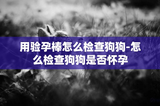 用驗孕棒怎么檢查狗狗-怎么檢查狗狗是否懷孕