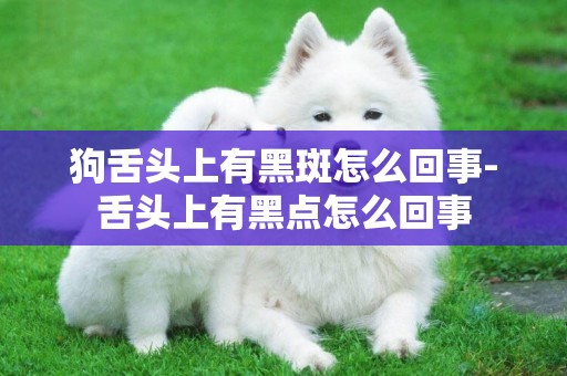 狗舌頭上有黑斑怎么回事-舌頭上有黑點怎么回事
