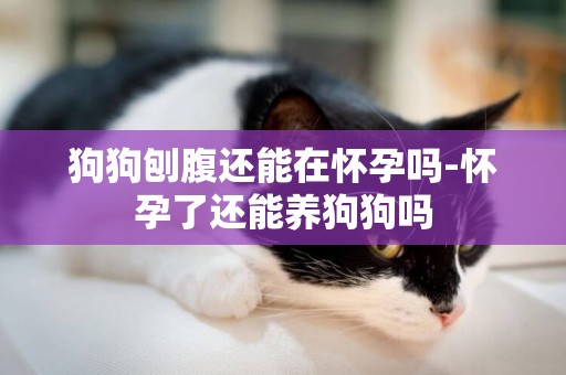 狗狗刨腹還能在懷孕嗎-懷孕了還能養狗狗嗎
