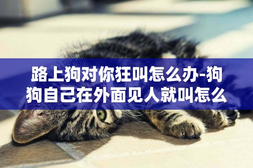 路上狗對你狂叫怎么辦-狗狗自己在外面見人就叫怎么辦