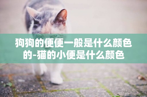 狗狗的便便一般是什么顏色的-貓的小便是什么顏色