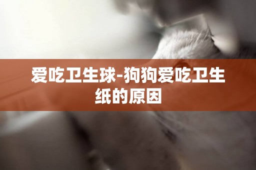 愛吃衛生球-狗狗愛吃衛生紙的原因