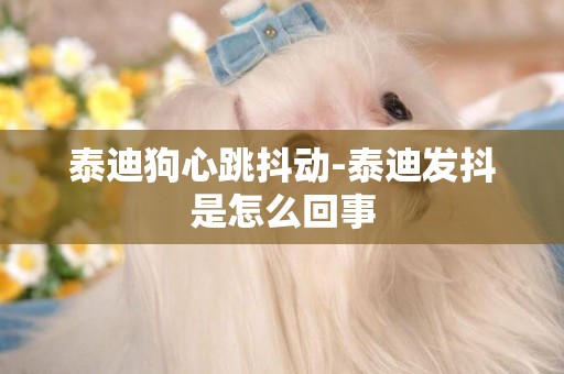 泰迪狗心跳抖動-泰迪發抖是怎么回事