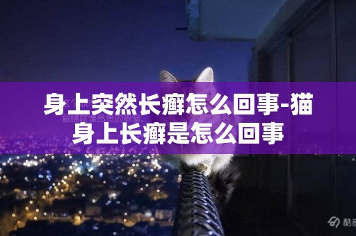 身上突然長癬怎么回事-貓身上長癬是怎么回事