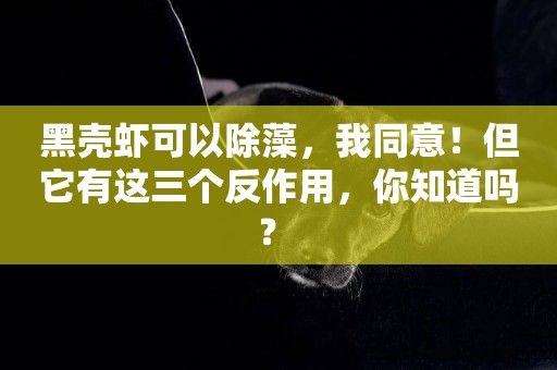 黑殼蝦可以除藻，我同意！但它有這三個反作用，你知道嗎？ 