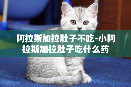 阿拉斯加拉肚子不吃-小阿拉斯加拉肚子吃什么藥