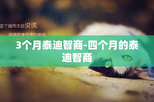 3個月泰迪智商-四個月的泰迪智商
