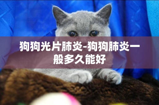 狗狗光片肺炎-狗狗肺炎一般多久能好