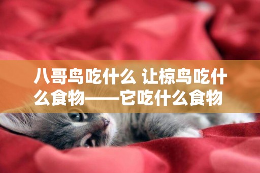 八哥鳥吃什么 讓椋鳥吃什么食物——它吃什么食物 