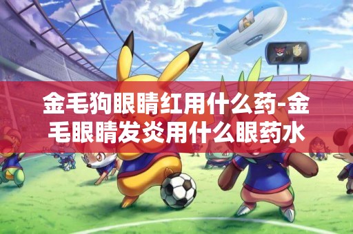 金毛狗眼睛紅用什么藥-金毛眼睛發炎用什么眼藥水