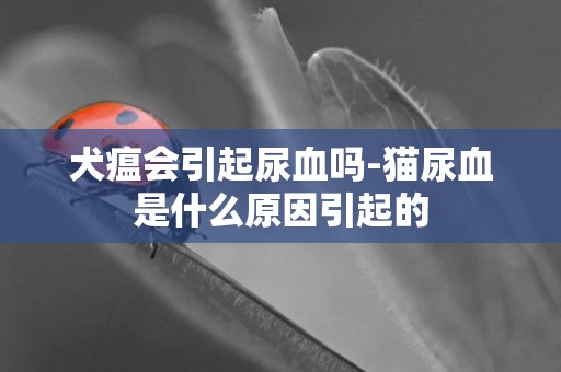 犬瘟會引起尿血嗎-貓尿血是什么原因引起的