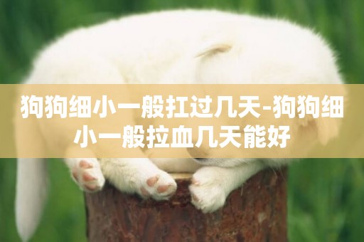 狗狗細小一般扛過幾天-狗狗細小一般拉血幾天能好