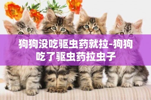 狗狗沒吃驅蟲藥就拉-狗狗吃了驅蟲藥拉蟲子