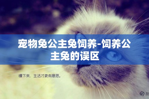 寵物兔公主兔飼養-飼養公主兔的誤區
