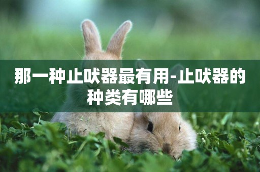 那一種止吠器最有用-止吠器的種類有哪些