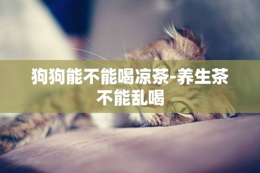 狗狗能不能喝涼茶-養生茶不能亂喝