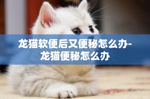 龍貓軟便后又便秘怎么辦-龍貓便秘怎么辦