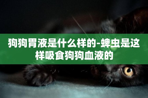 狗狗胃液是什么樣的-蜱蟲是這樣吸食狗狗血液的