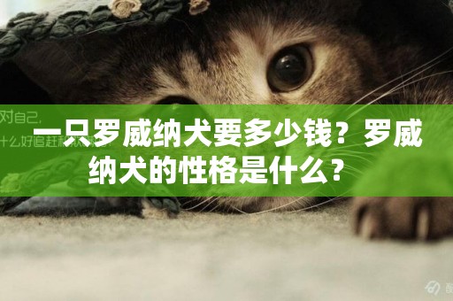 一只羅威納犬要多少錢？羅威納犬的性格是什么？ 