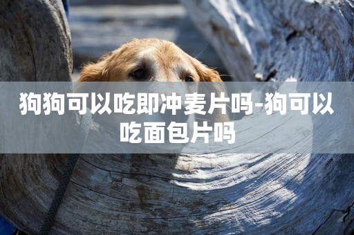 狗狗可以吃即沖麥片嗎-狗可以吃面包片嗎