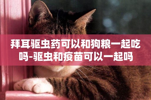 拜耳驅蟲藥可以和狗糧一起吃嗎-驅蟲和疫苗可以一起嗎