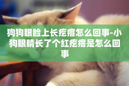 狗狗眼瞼上長疙瘩怎么回事-小狗眼睛長了個紅疙瘩是怎么回事