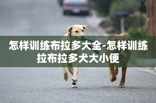 怎樣訓練布拉多大全-怎樣訓練拉布拉多犬大小便