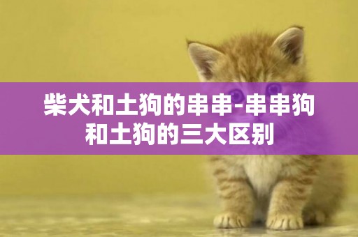 柴犬和土狗的串串-串串狗和土狗的三大區別