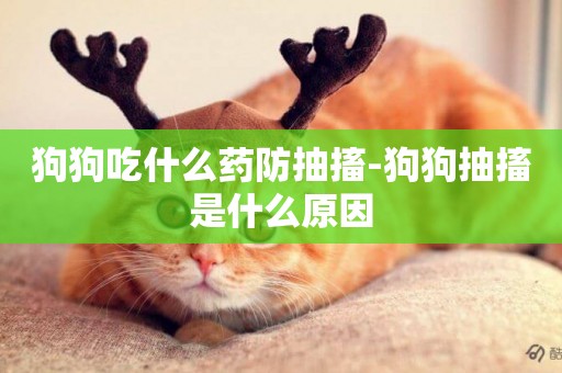 狗狗吃什么藥防抽搐-狗狗抽搐是什么原因