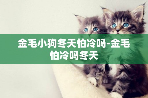 金毛小狗冬天怕冷嗎-金毛怕冷嗎冬天
