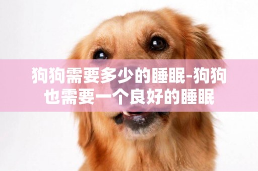 狗狗需要多少的睡眠-狗狗也需要一個良好的睡眠