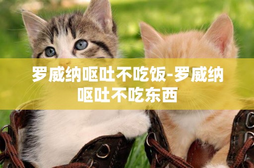 羅威納嘔吐不吃飯-羅威納嘔吐不吃東西