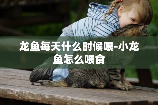 龍魚每天什么時候喂-小龍魚怎么喂食