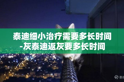 泰迪細小治療需要多長時間-灰泰迪返灰要多長時間