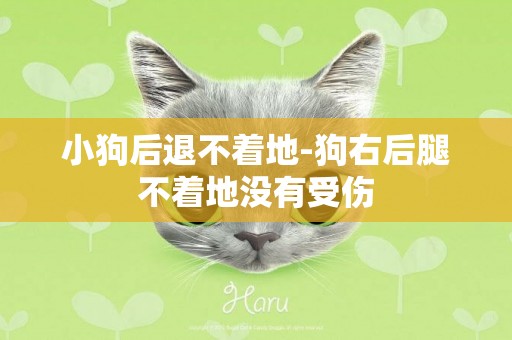 小狗后退不著地-狗右后腿不著地沒有受傷