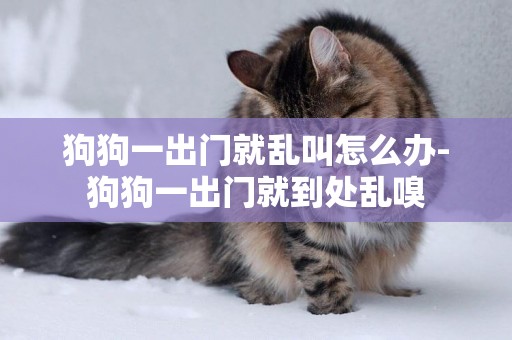 狗狗一出門就亂叫怎么辦-狗狗一出門就到處亂嗅