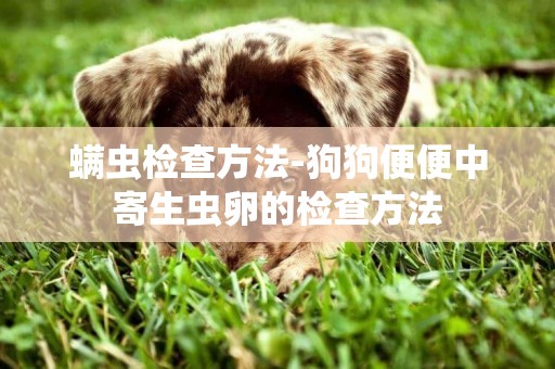 螨蟲檢查方法-狗狗便便中寄生蟲卵的檢查方法