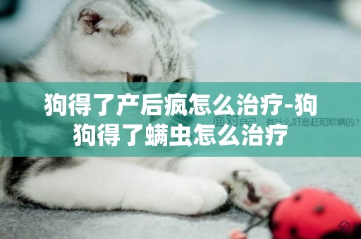 狗得了產后瘋怎么治療-狗狗得了螨蟲怎么治療