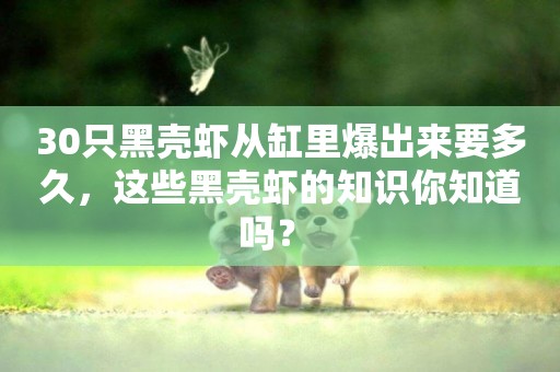30只黑殼蝦從缸里爆出來要多久，這些黑殼蝦的知識你知道嗎？ 
