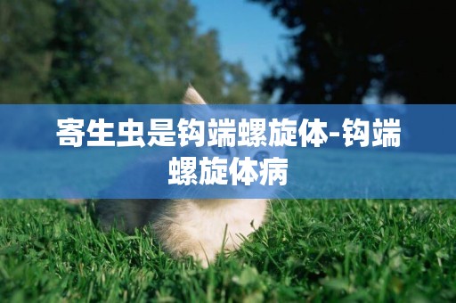 寄生蟲是鉤端螺旋體-鉤端螺旋體病
