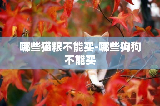 哪些貓糧不能買-哪些狗狗不能買