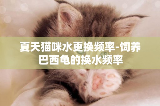 夏天貓咪水更換頻率-飼養巴西龜的換水頻率