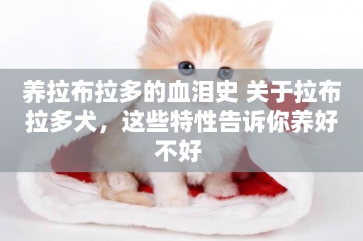 養拉布拉多的血淚史 關于拉布拉多犬，這些特性告訴你養好不好 