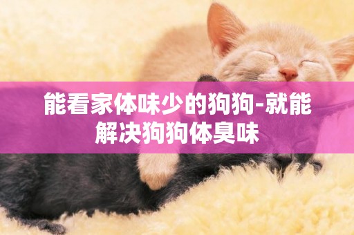 能看家體味少的狗狗-就能解決狗狗體臭味